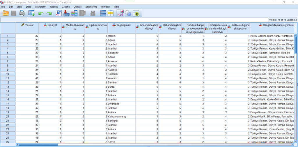 spss anket analizi hizmeti