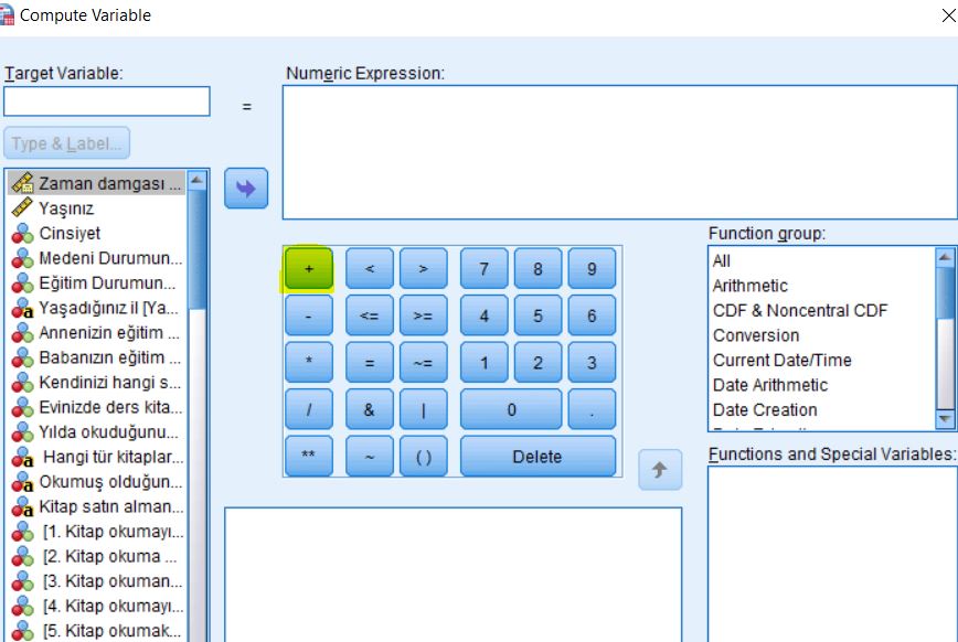 spss-toplama